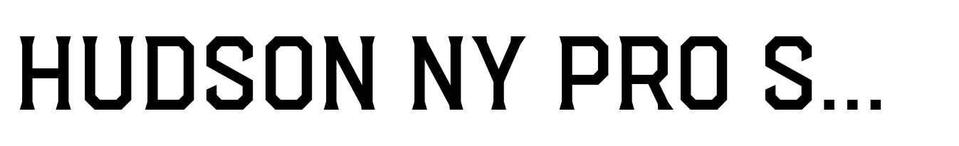 Hudson NY Pro Serif Light